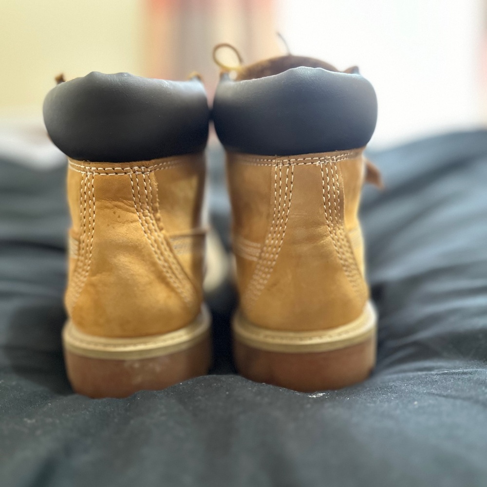 Junior Timberland